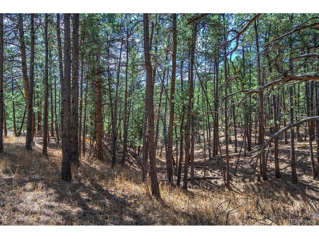 Photo of 27444 Pine Valley Dr