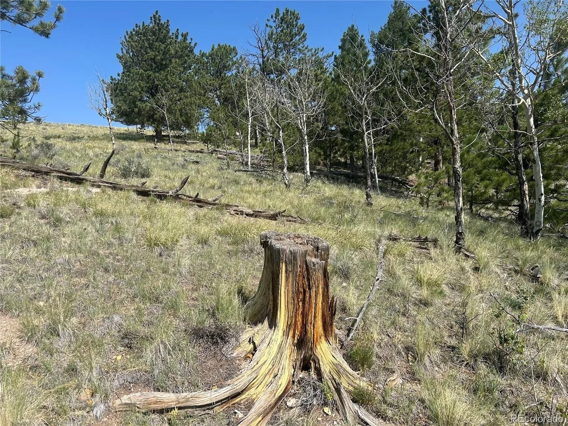 Photo of 11414 Ranch Rd