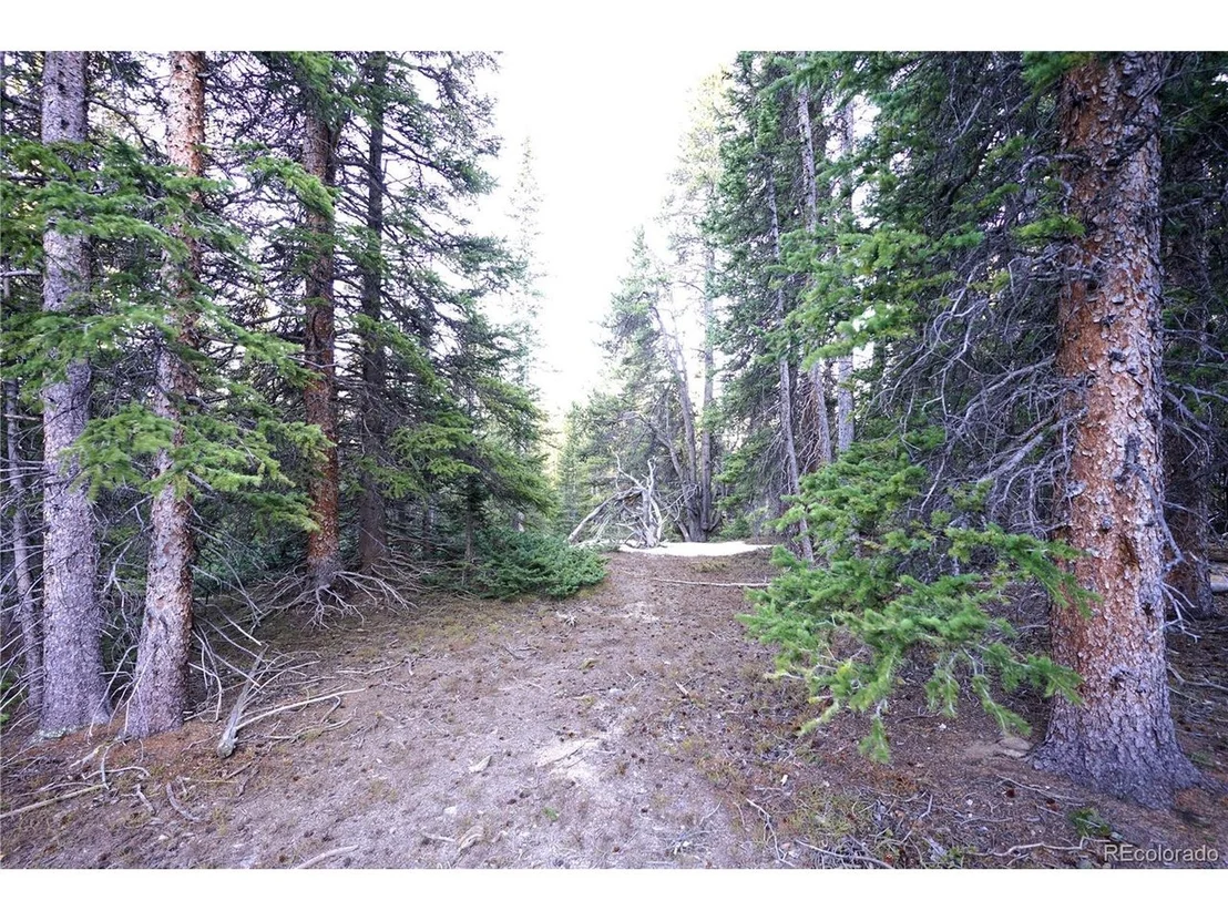 Photo of 252 Silverheels Pl