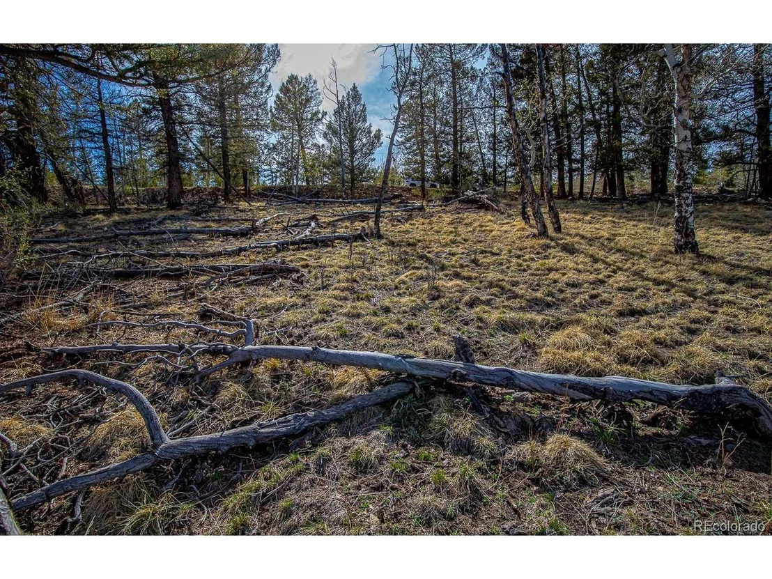 Photo of 5302 Middle Fork Vis