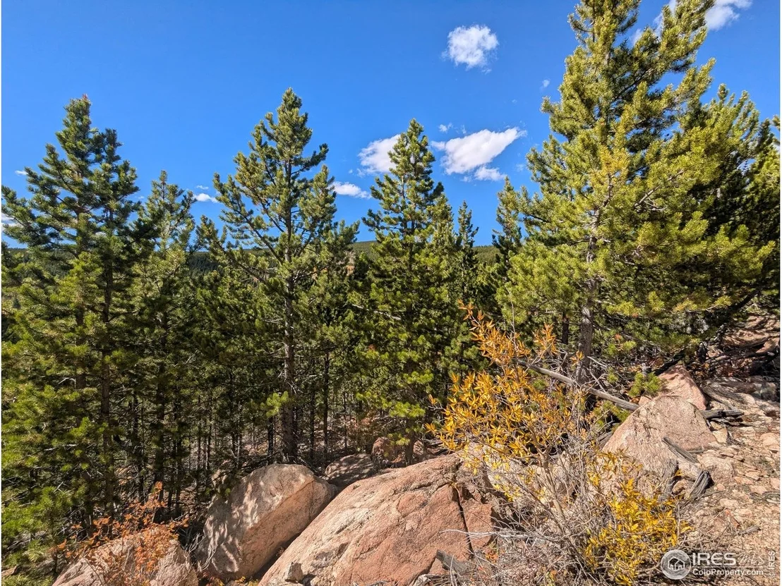 Photo of 2174 Bear Gulch Rd