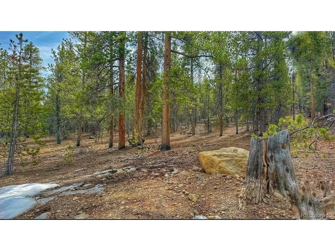Photo of 66 Mount Massive Rd