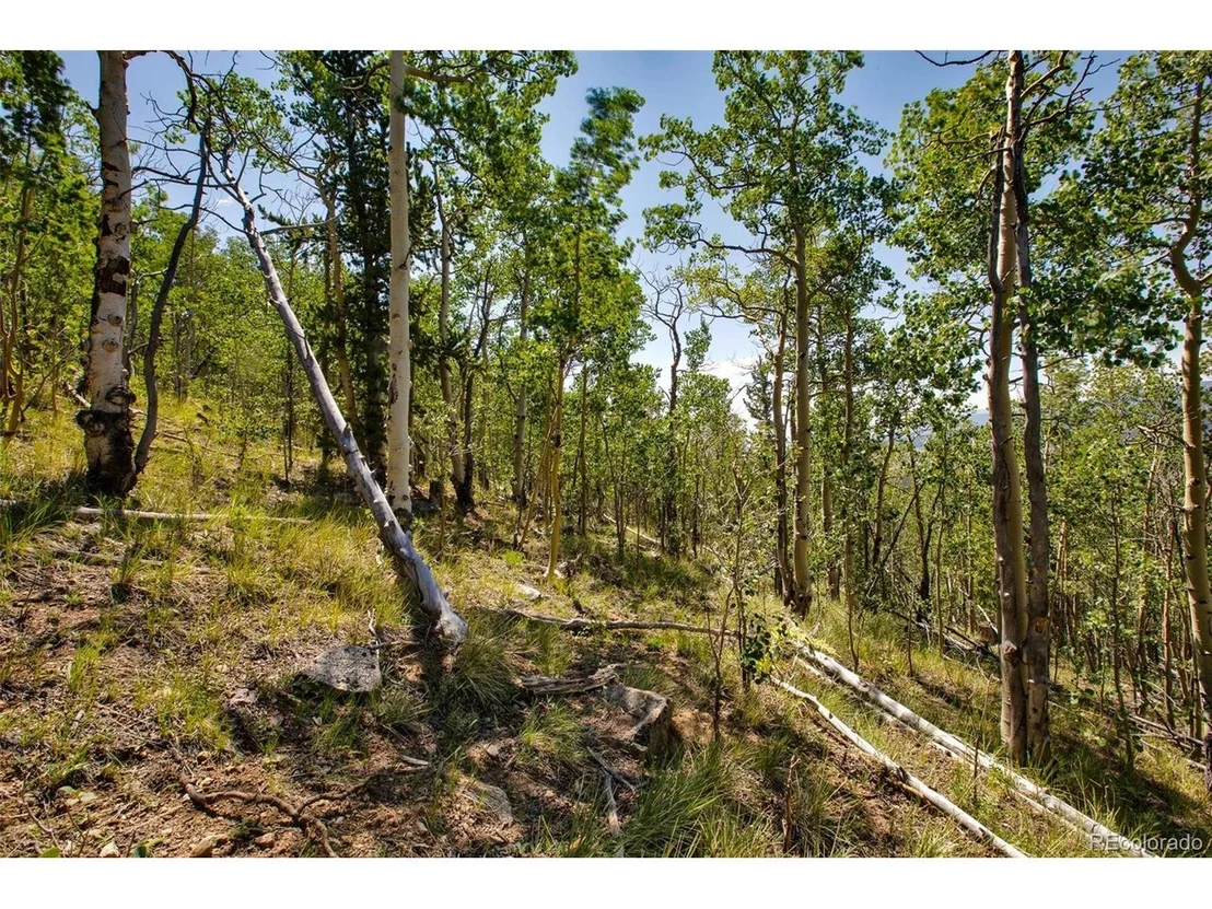 Photo of 497 TEN HIGH Ln