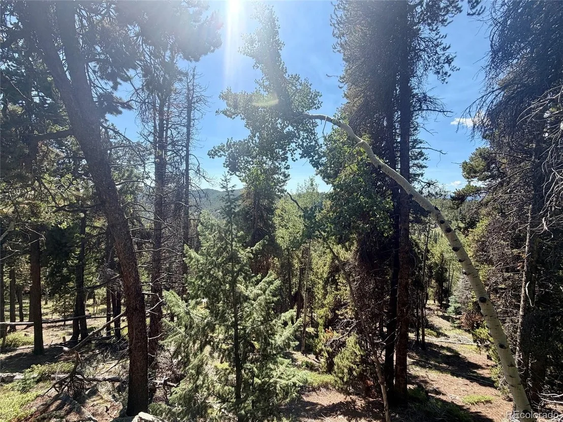 Photo of 0 Lodgepole Cir