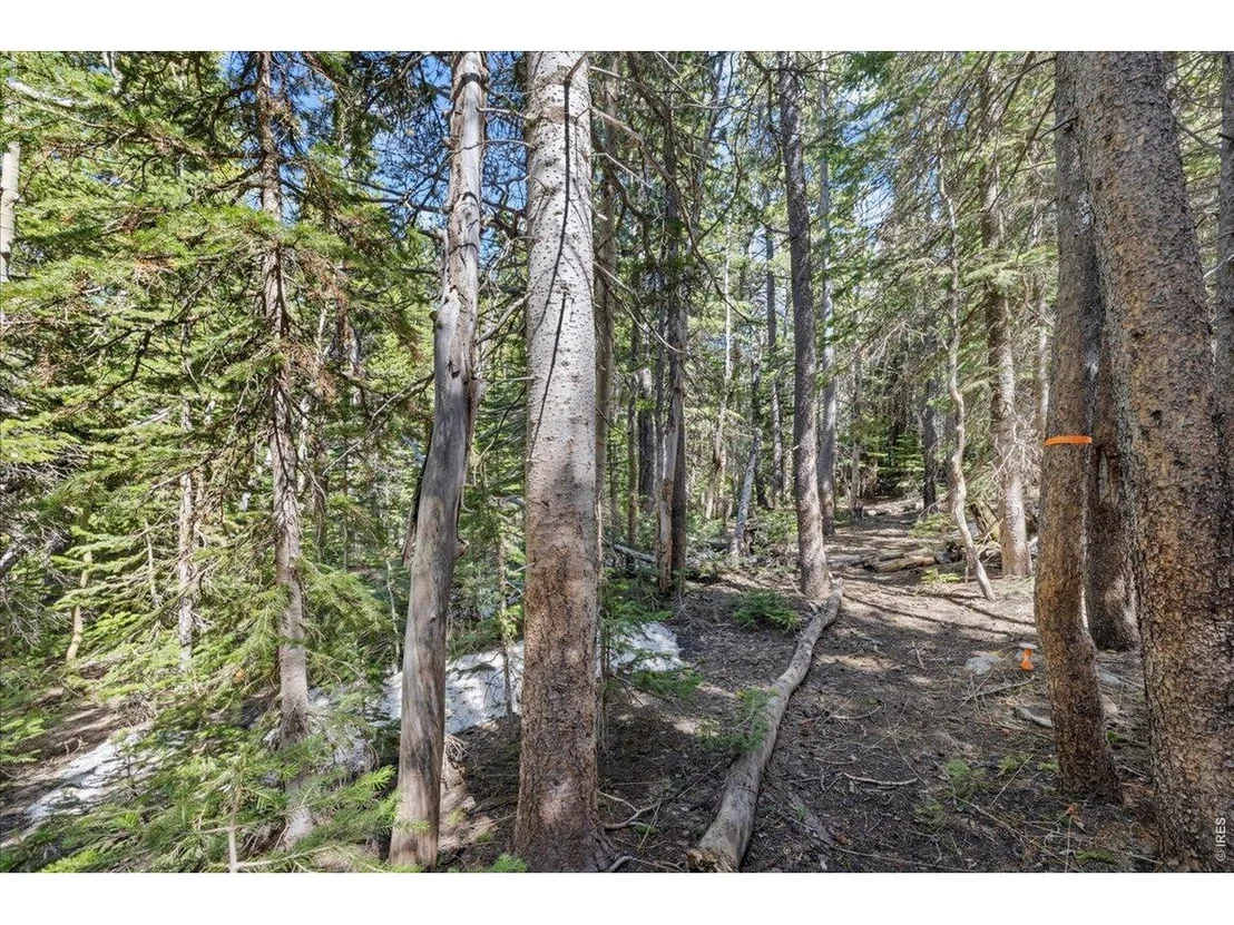 Photo of 1199 Brainard Lake Rd
