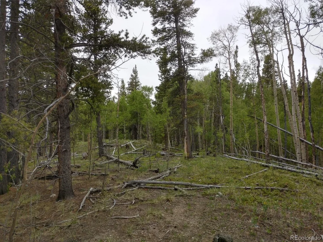 Photo of 317 Ski Doo Rd