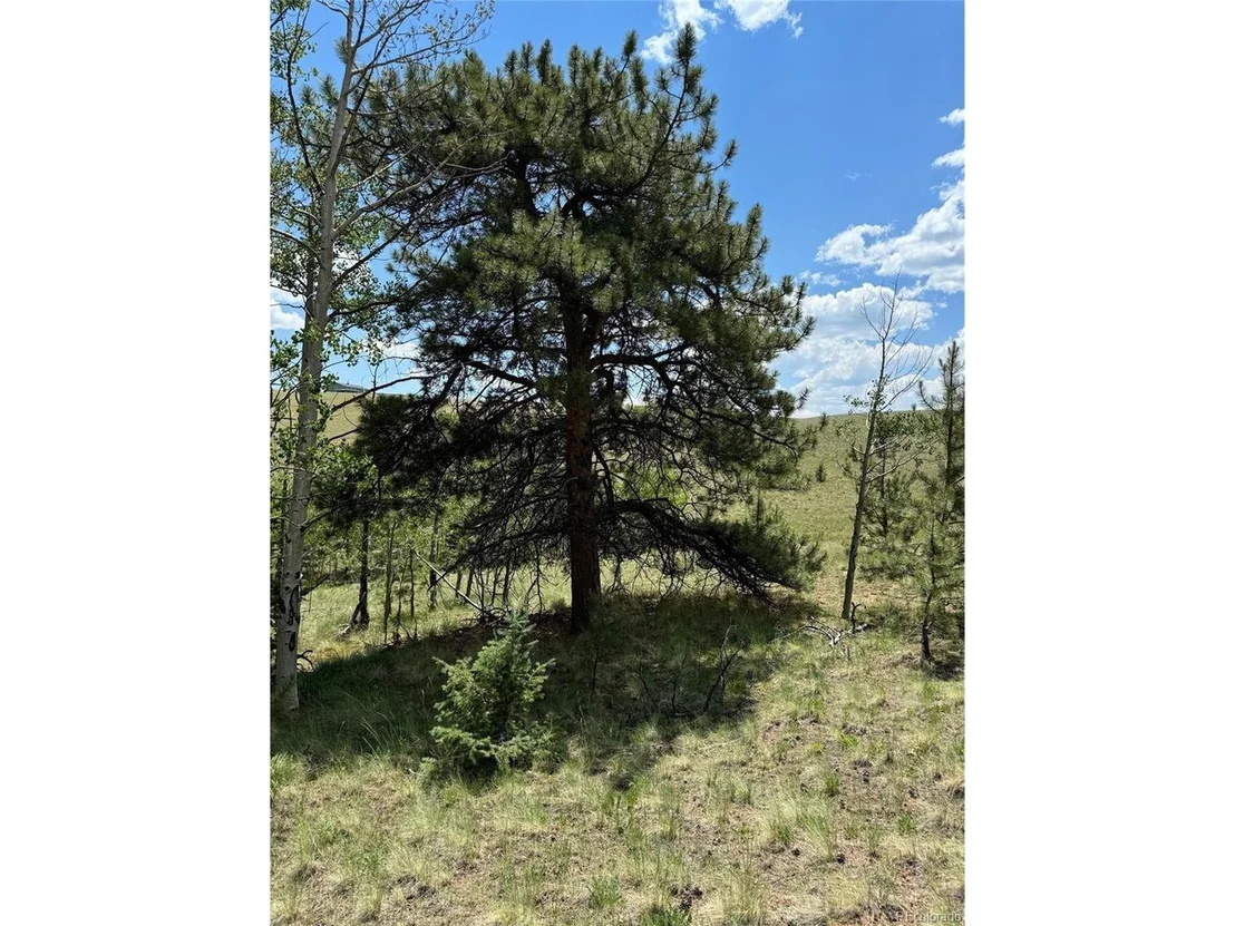 Photo of 728 Stacker Dr