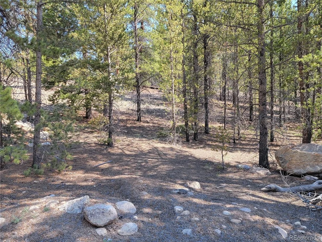 Photo of 217 Birch Dr