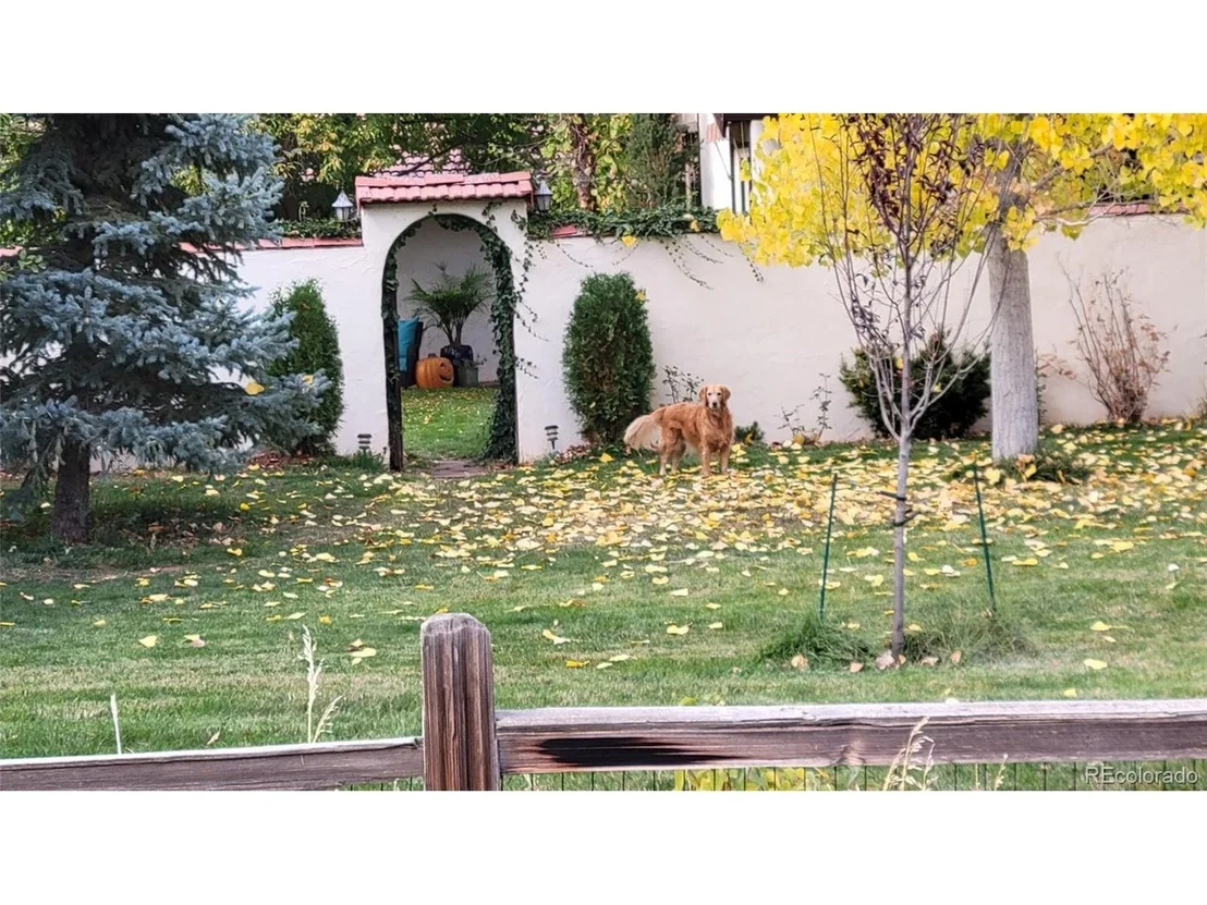 Photo of 7218 Cardinal Ln