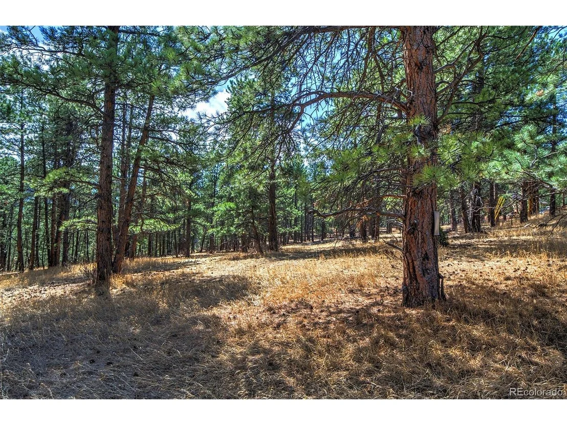 Photo of 27444 Pine Valley Dr