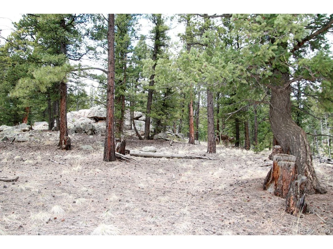 Photo of 449 Forest Dr