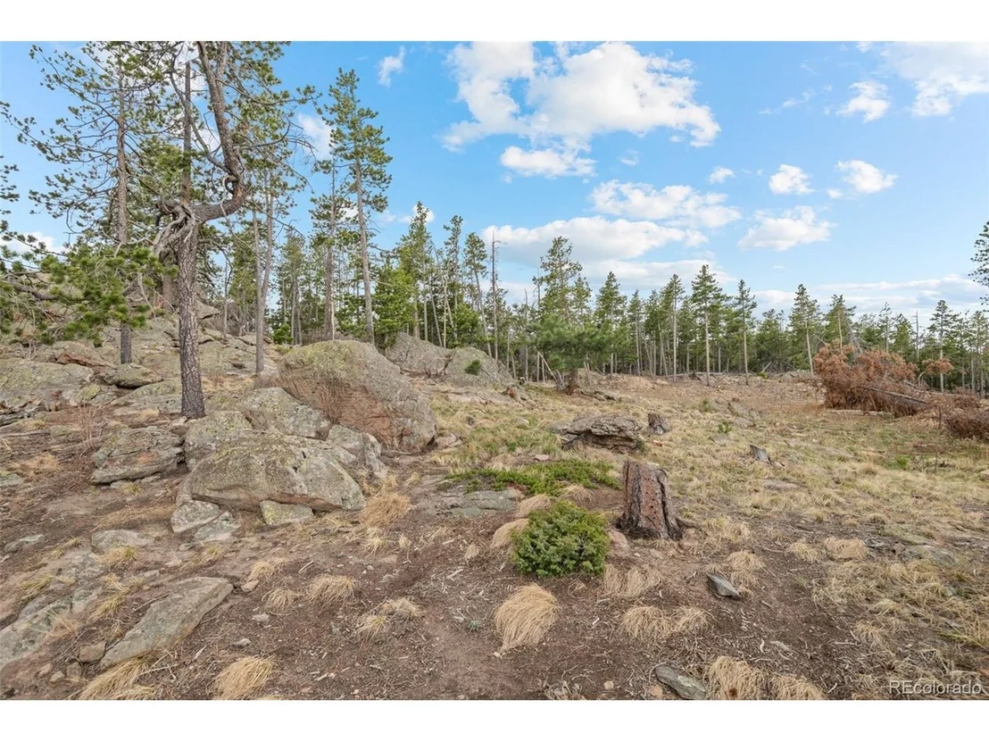Photo of 10157 Horizon View Dr