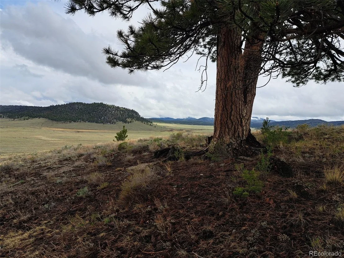 Photo of 783 Remuda