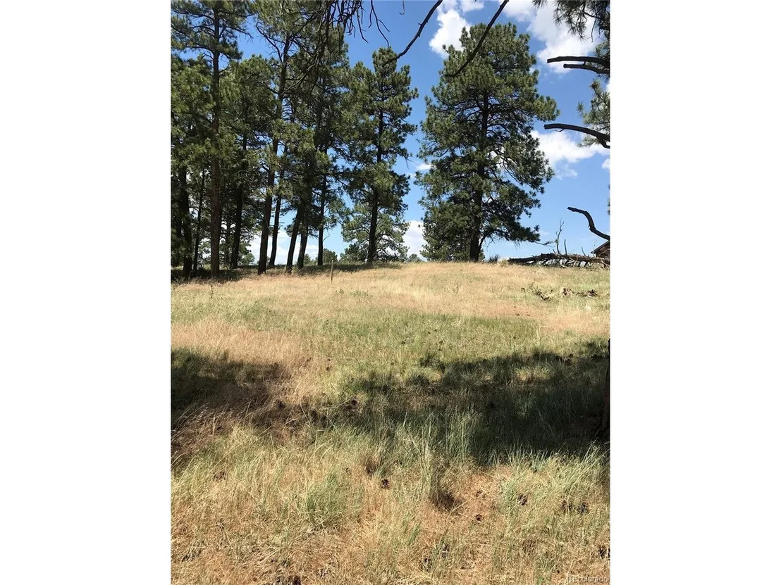 Photo of 10560 Shadow Pines Rd
