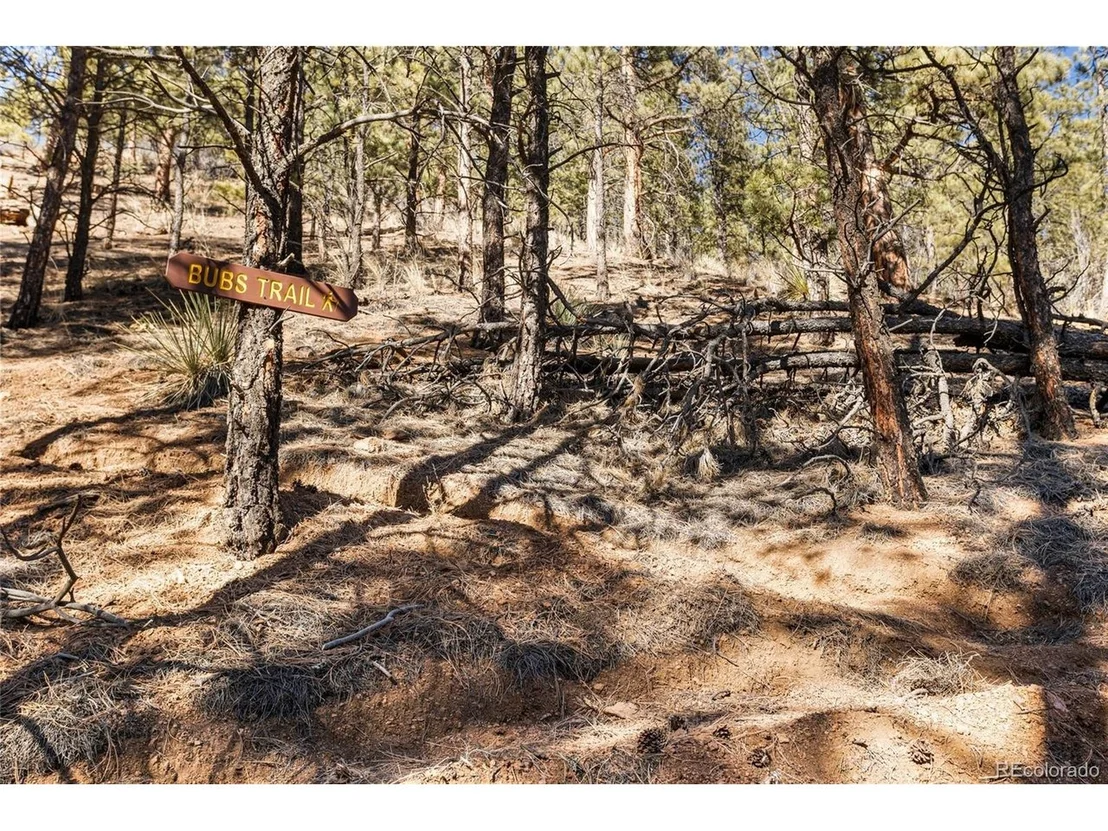 Photo of 15185 Rainbow Dr