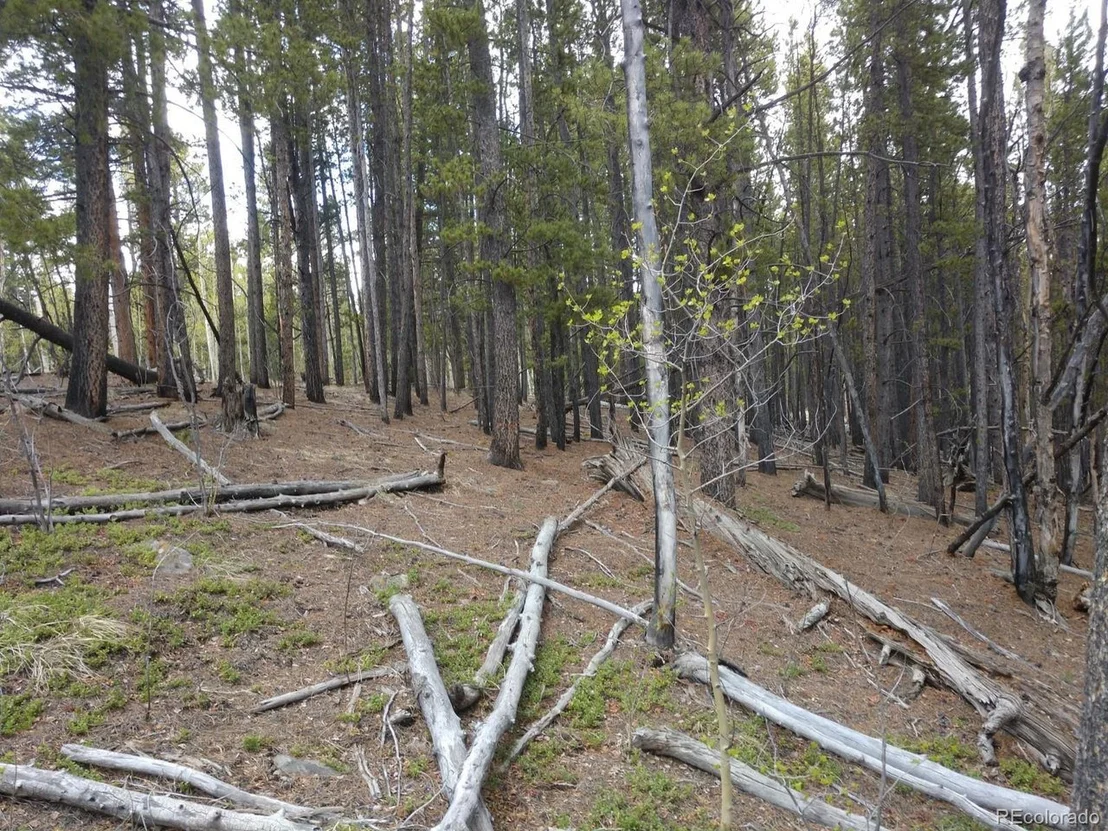 Photo of 317 Ski Doo Rd