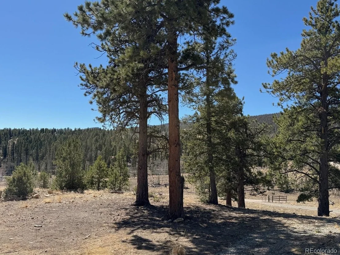 Photo of 909 Pitchfork Rd