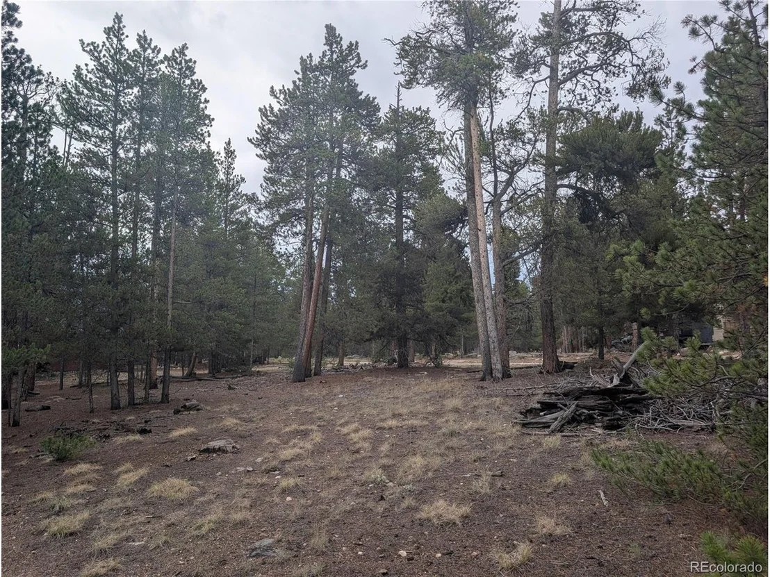 Photo of 663 Spruce Dr