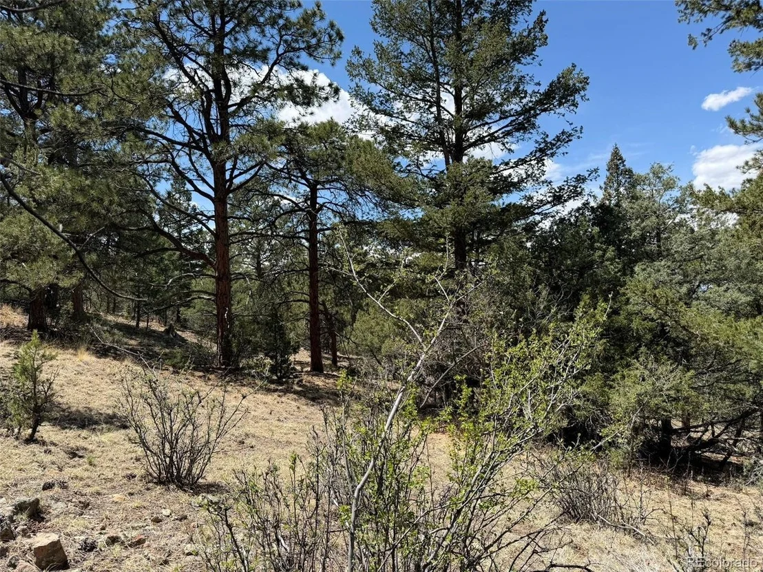 Photo of 477 Bear Peak Rd