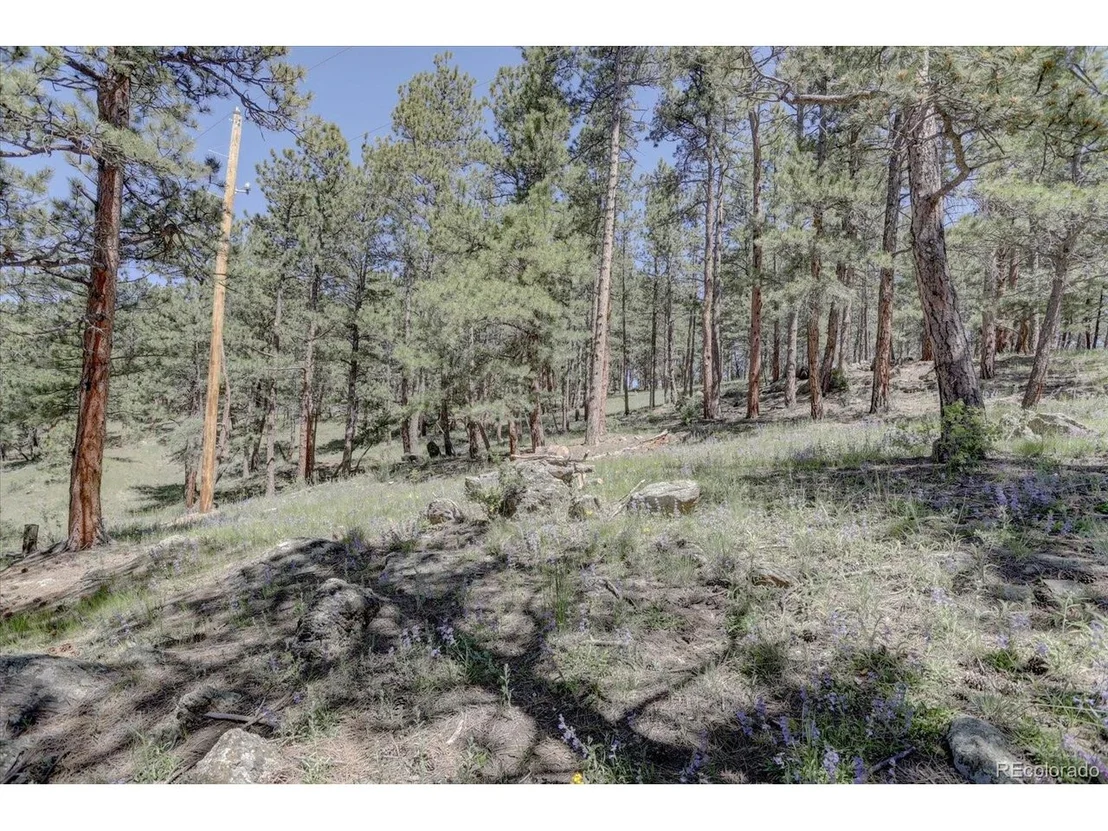 Photo of 29577 Larkspur