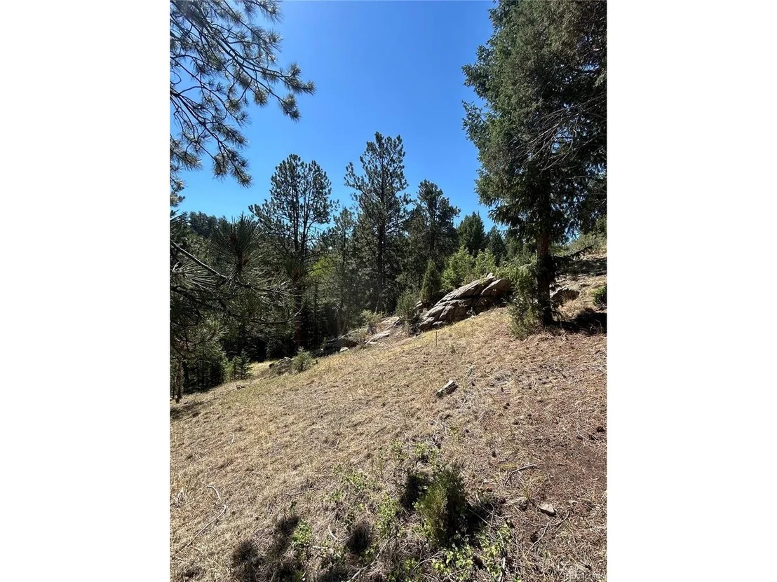 Photo of 14850 Quandary Peak Rd