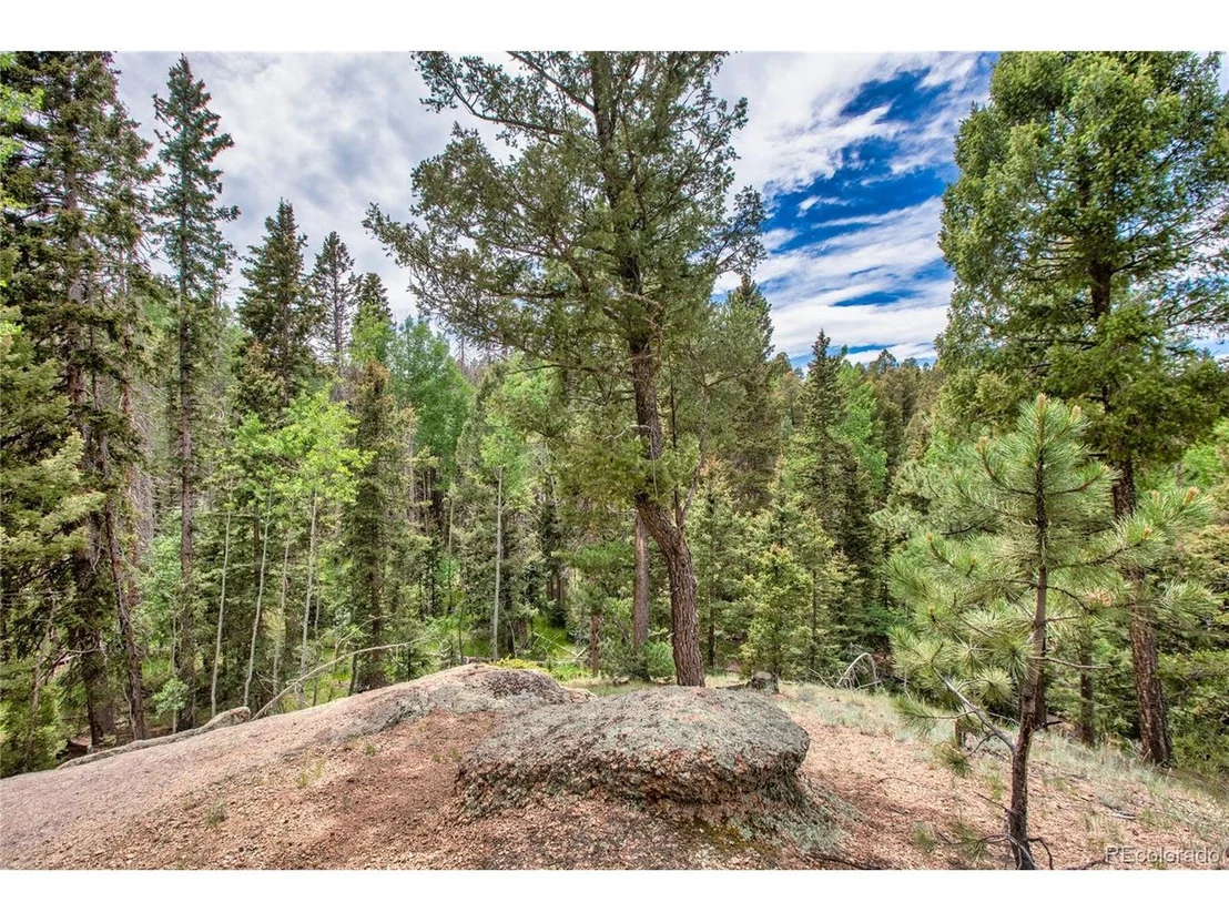 Photo of 183 Candle Lake Dr