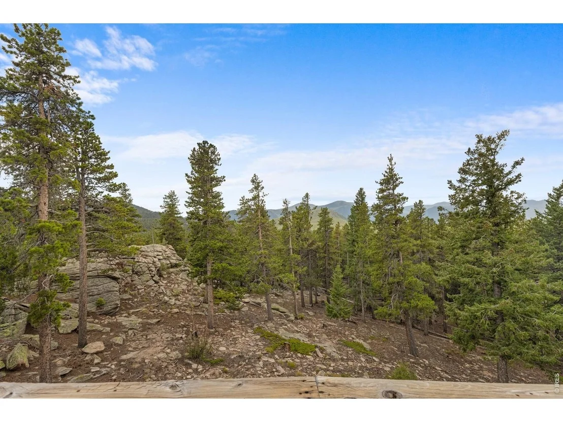 Photo of 33998 Lyttle Dowdle Dr