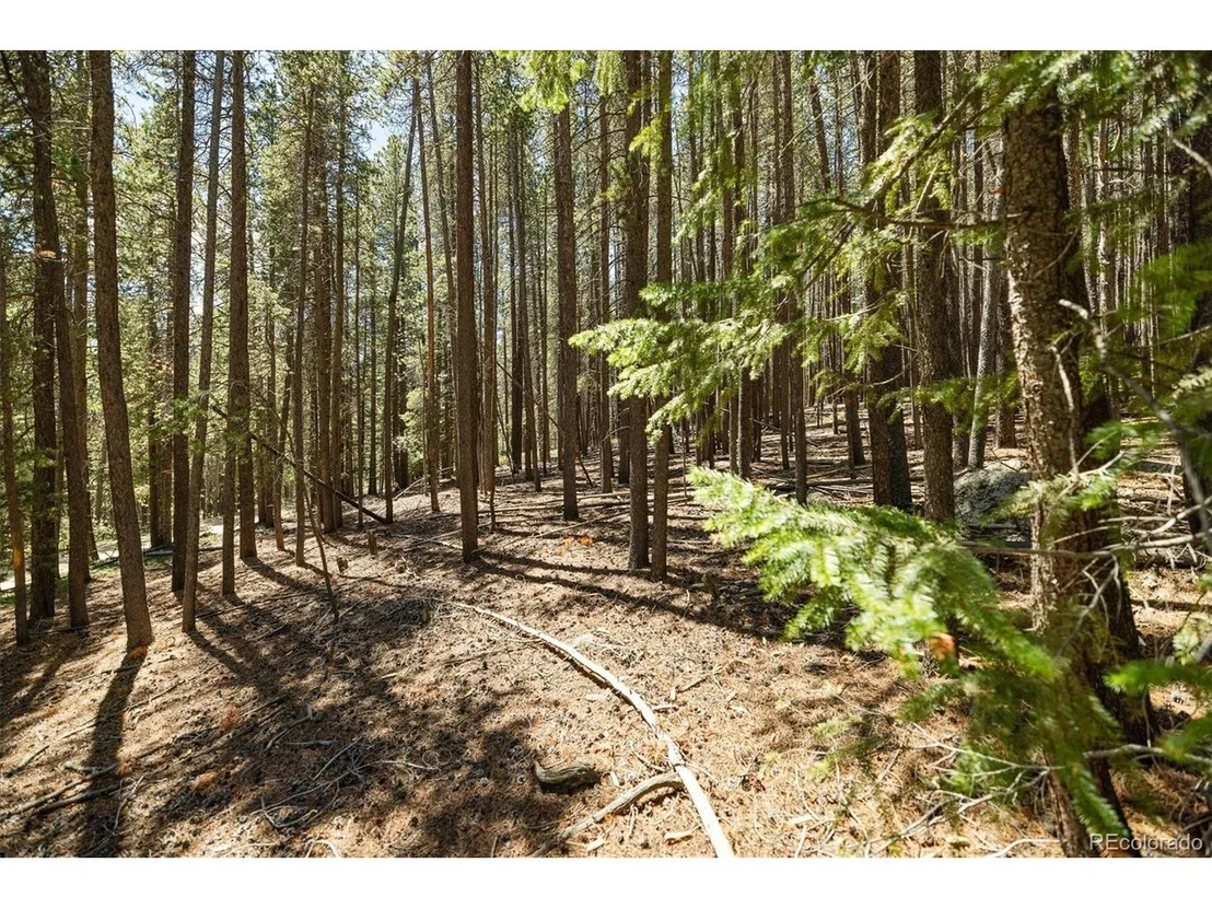 Photo of 0 Spruce Way