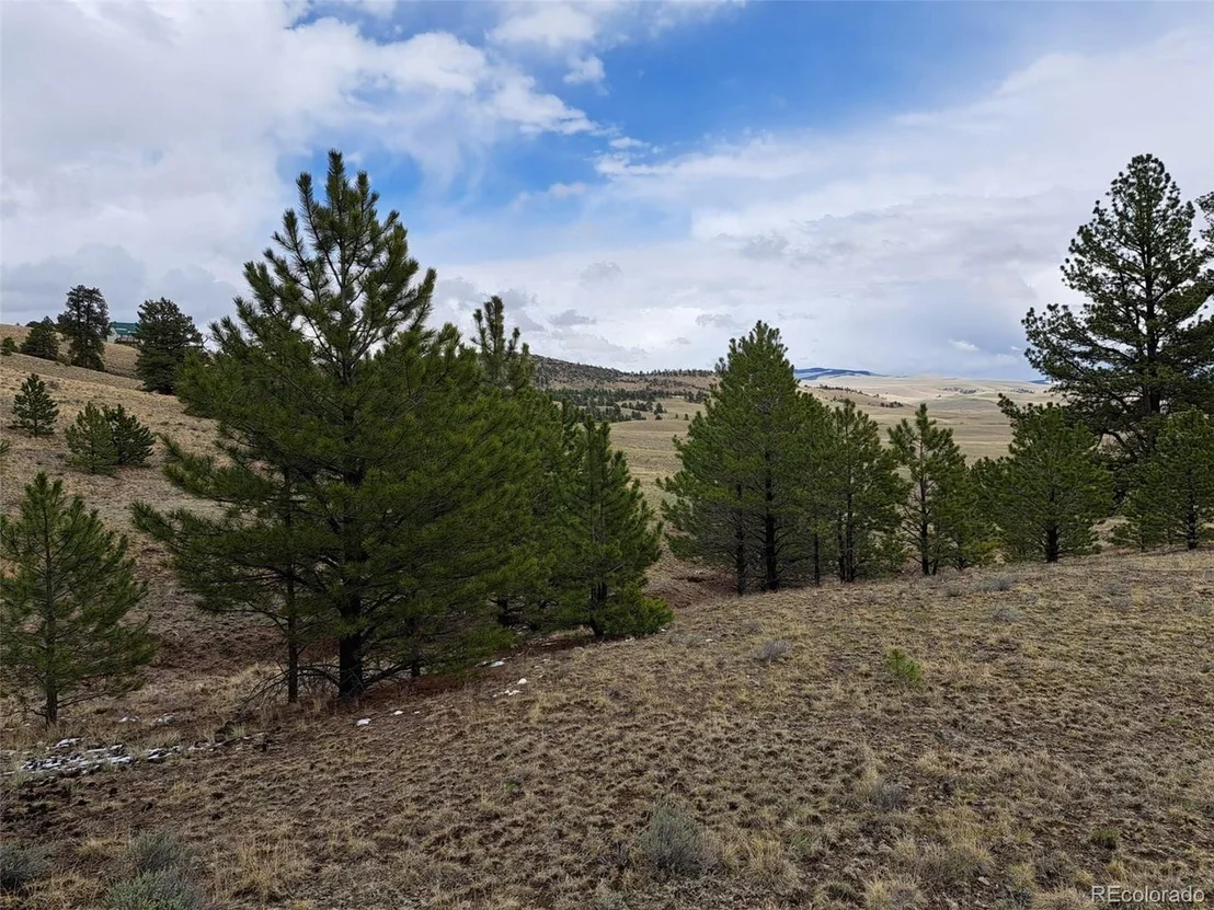 Photo of 783 Remuda