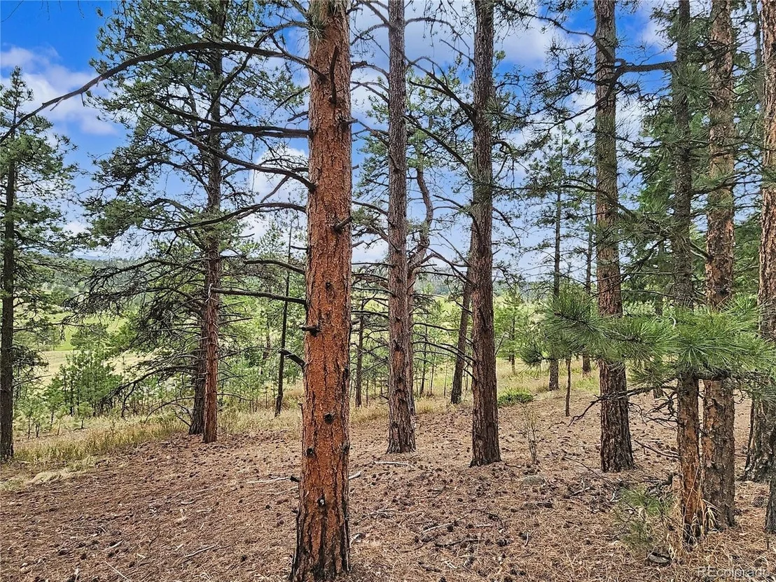 Photo of 6078 Lone Peak Dr