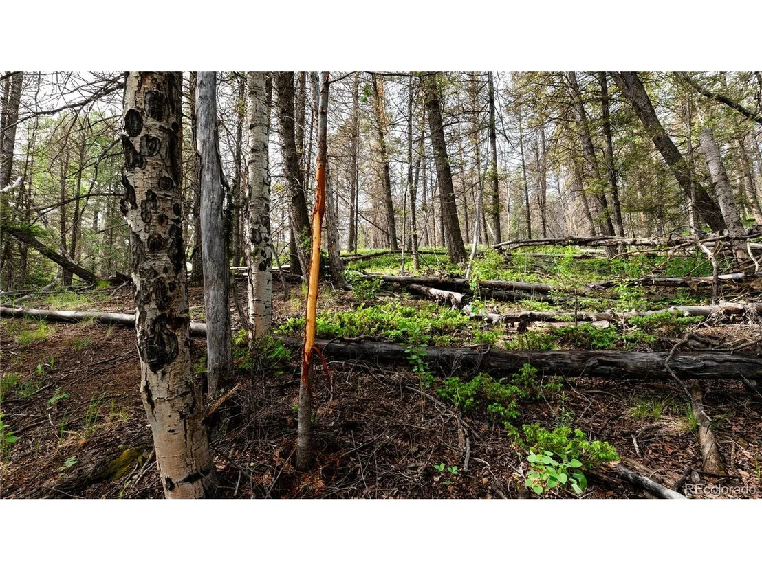 Photo of 5 Elk Height Ln