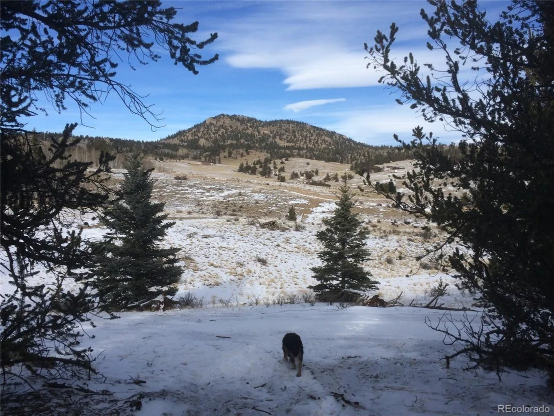 Photo of 278 Matchlock Run