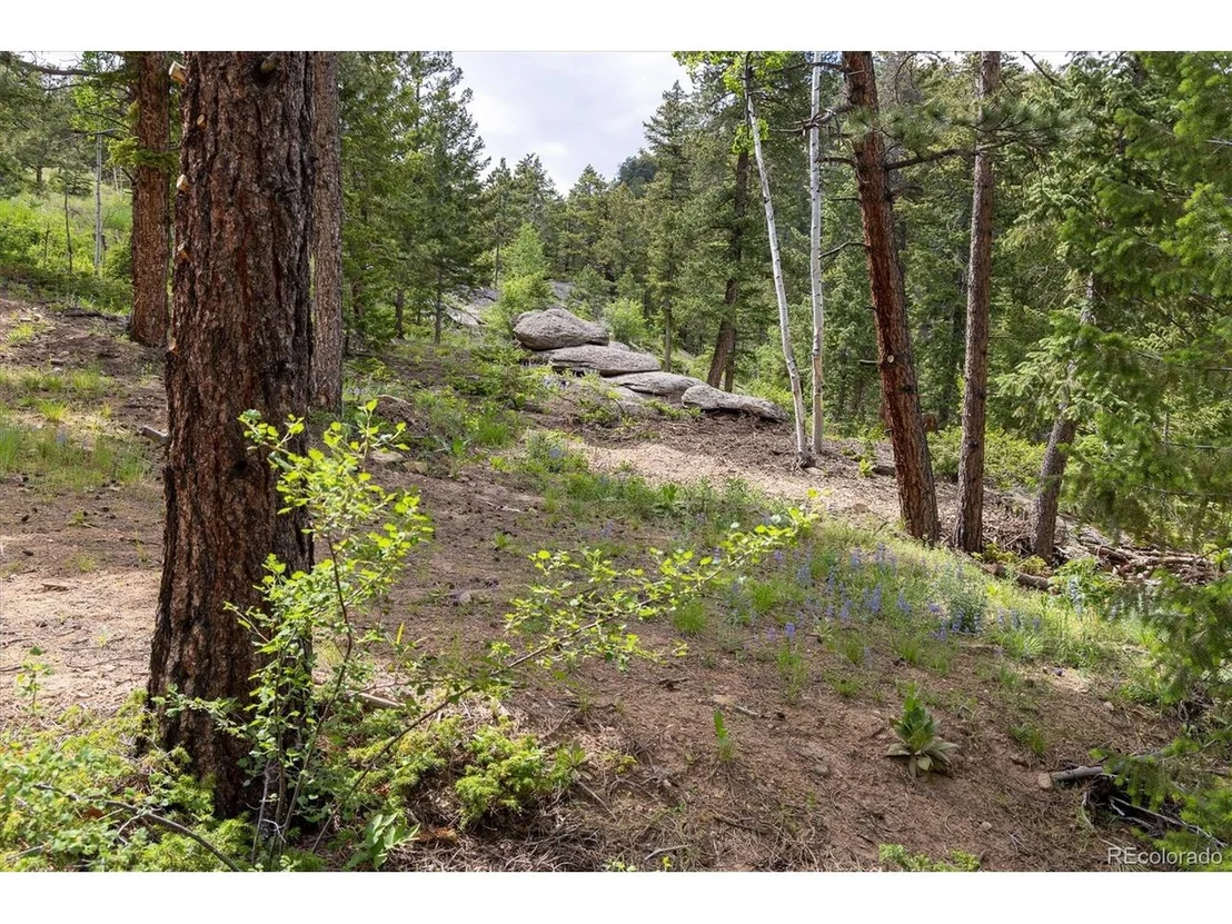 Photo of 31429 Burke Rd