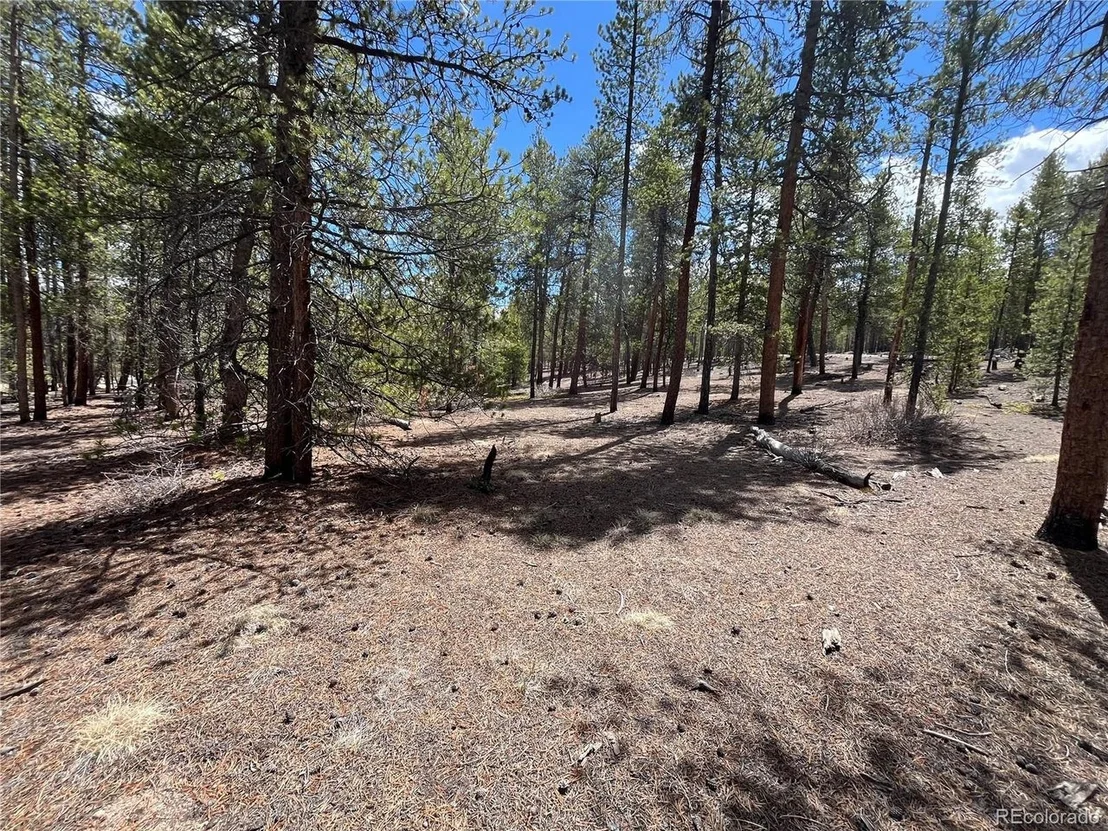 Photo of 1013 Sequoia Dr