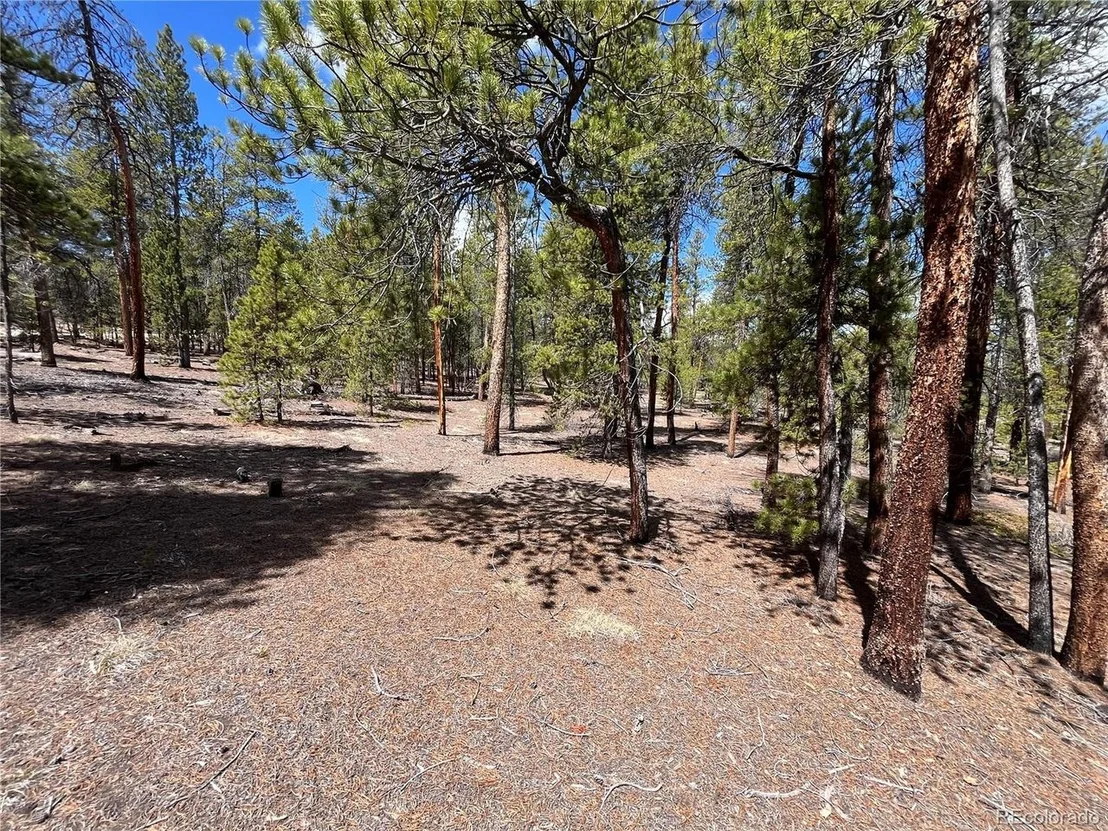 Photo of 1013 Sequoia Dr