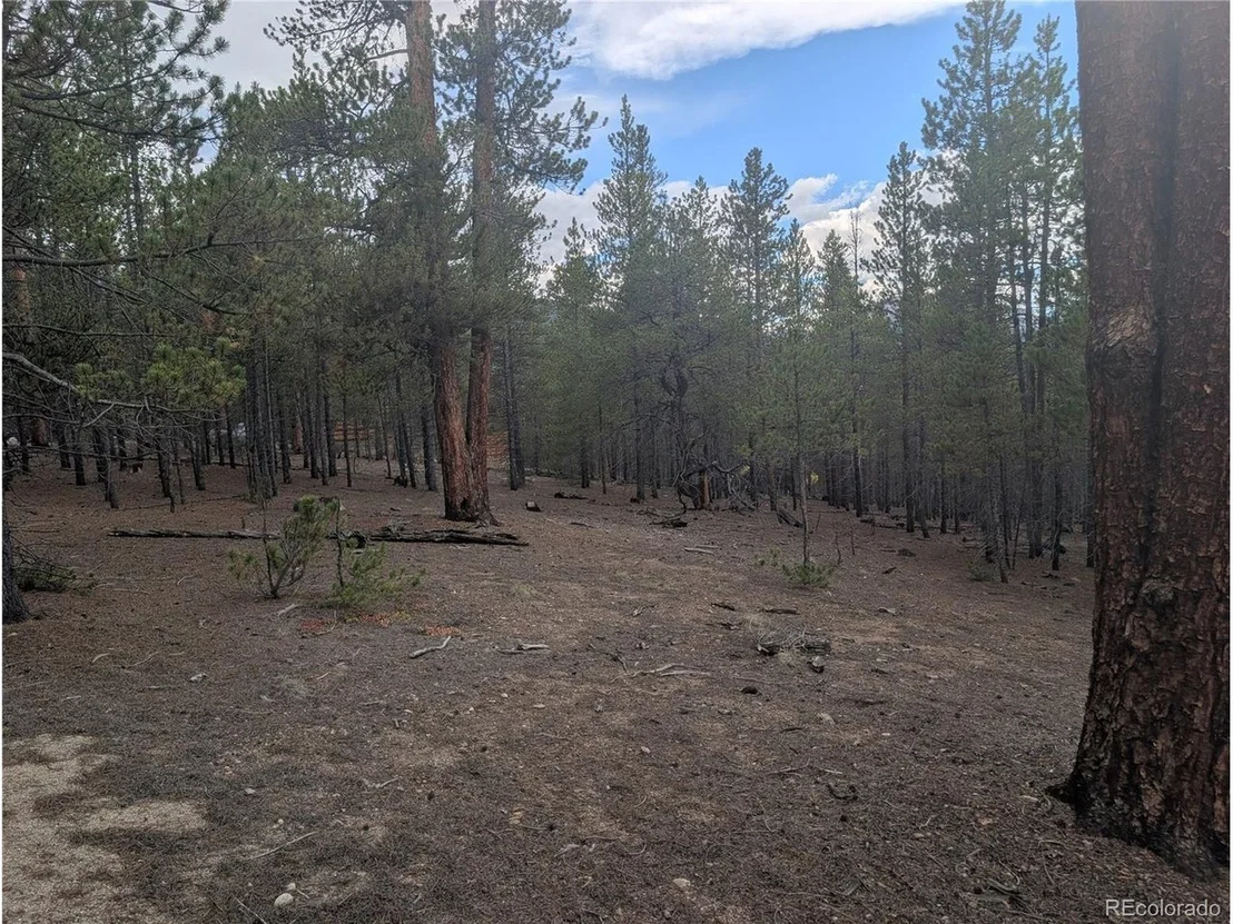Photo of 663 Spruce Dr