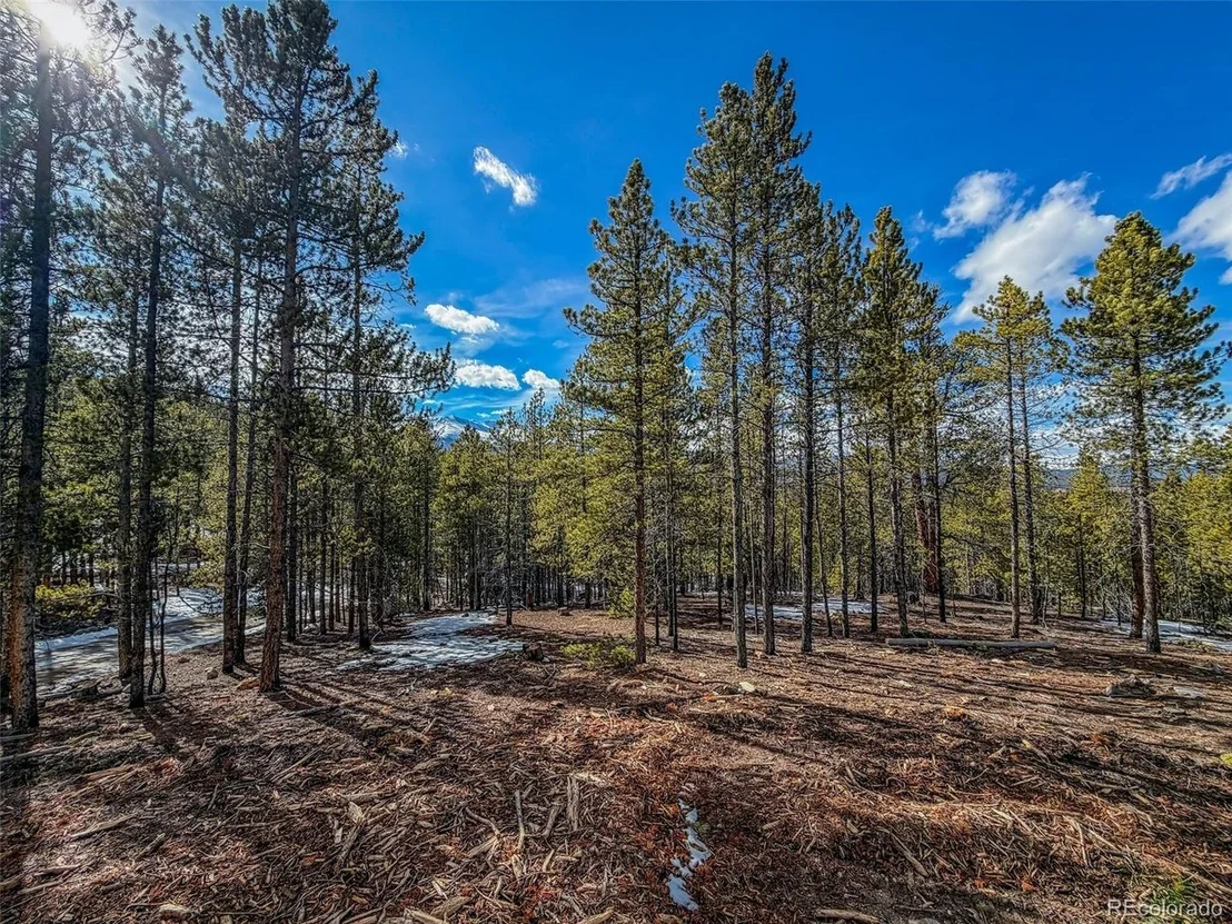 Photo of 483 Mt Massive Rd