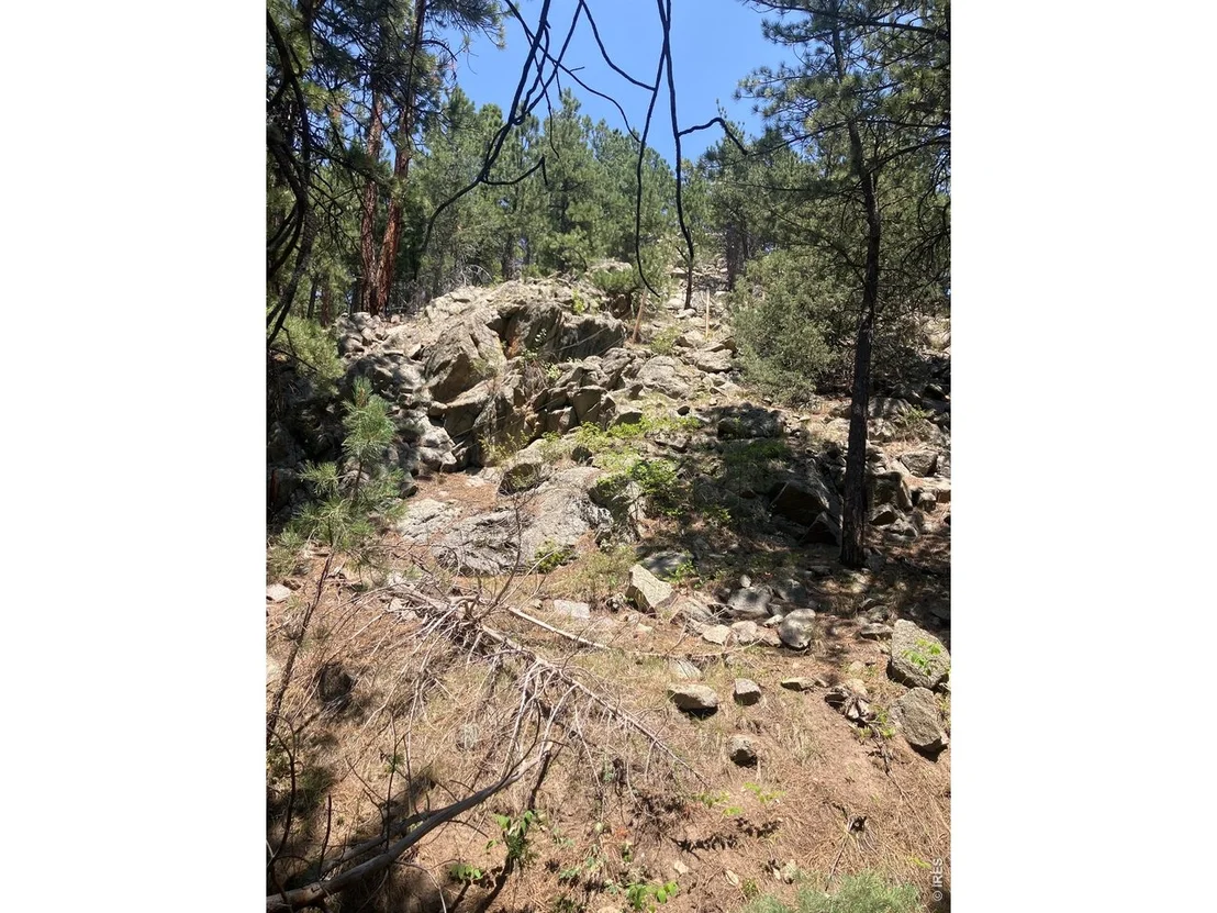 Photo of 5550 Sunshine Canyon Dr