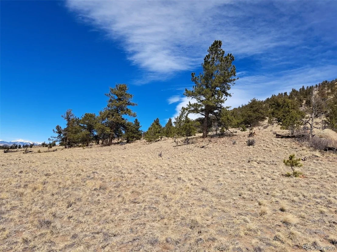 Photo of 369 Summit Rd