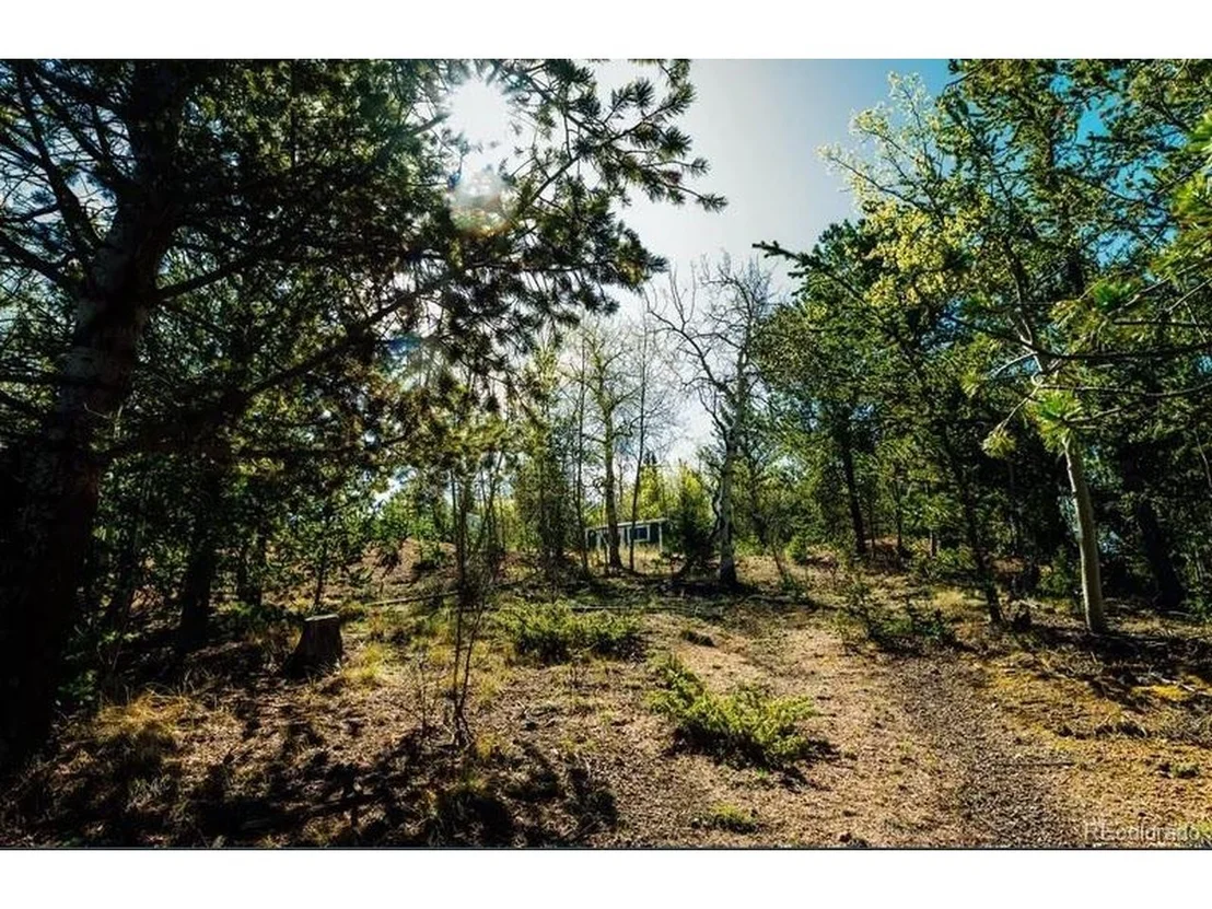 Photo of 977 County Road 61
