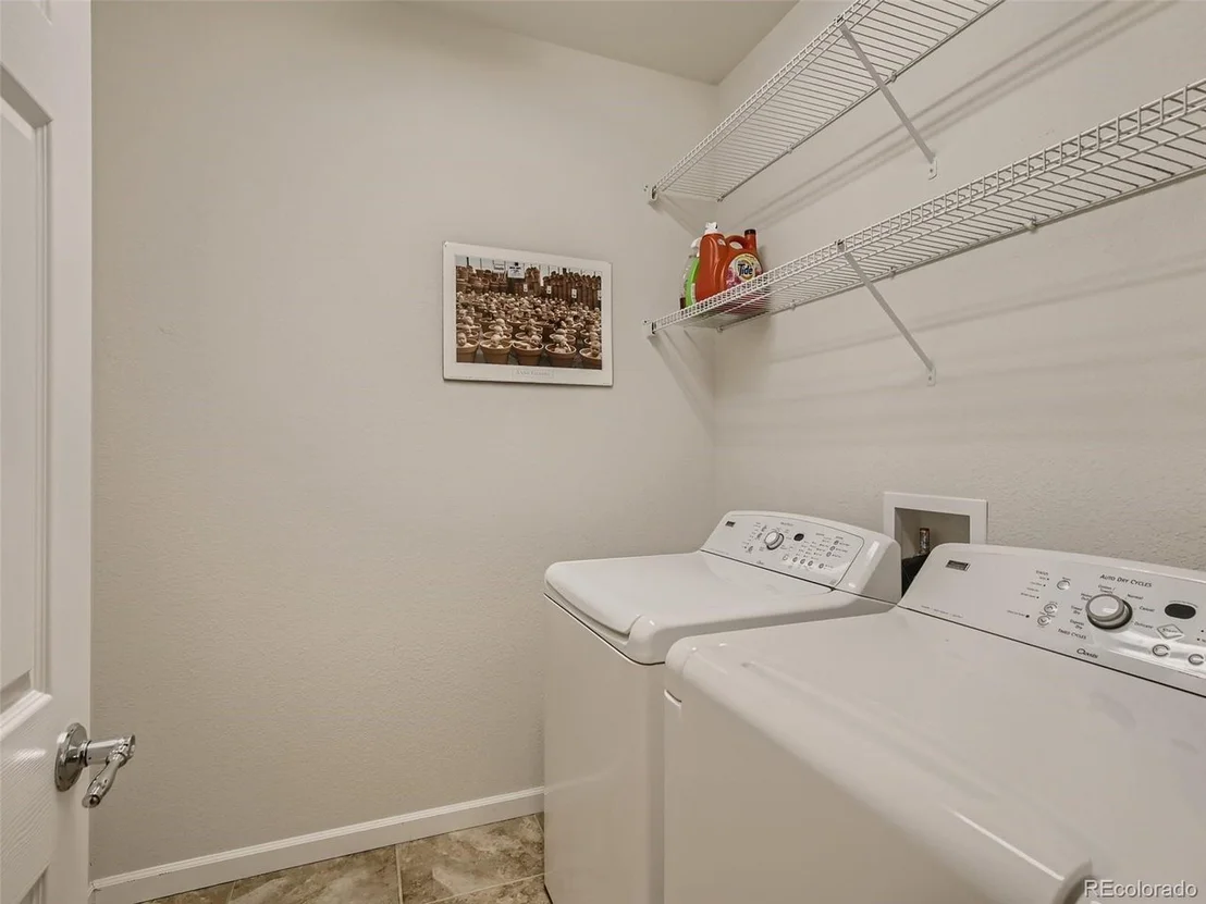 Photo of 2647 Gray Wolf Loop