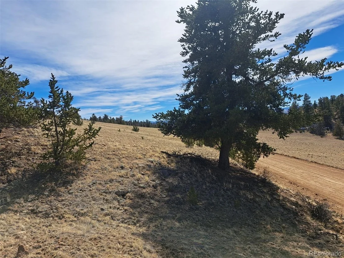 Photo of 369 Summit Rd
