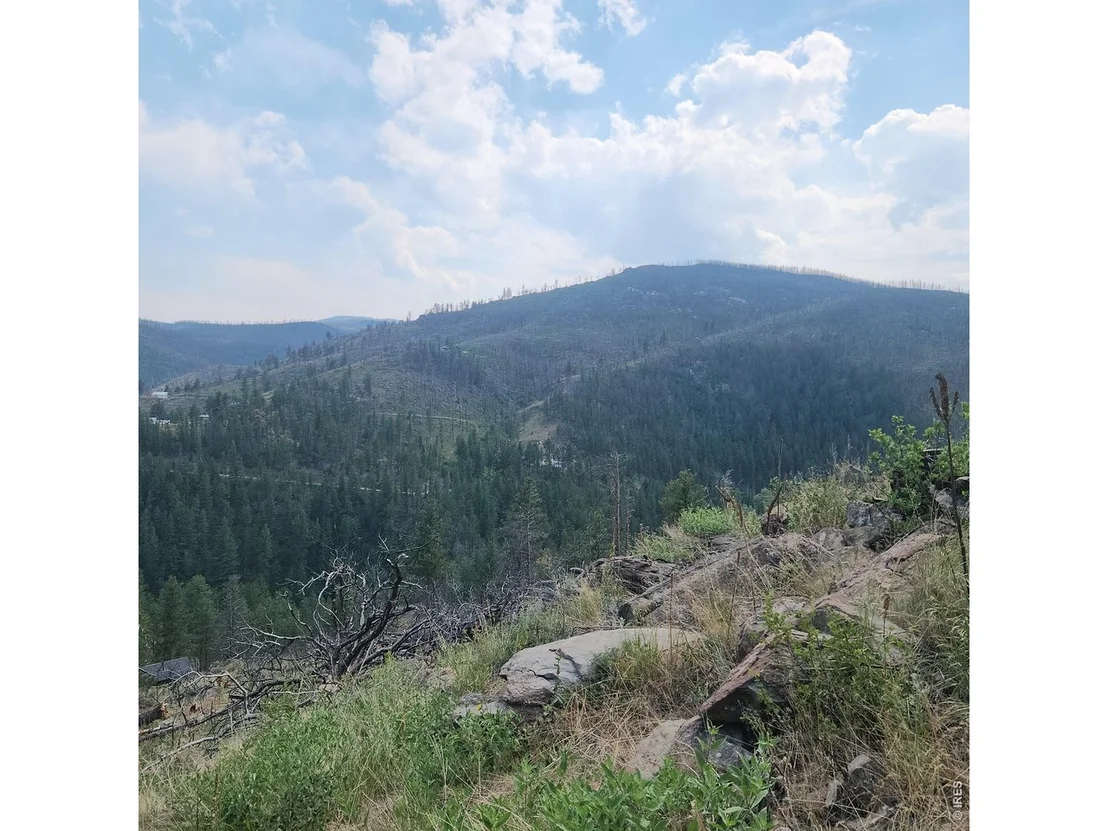 Photo of 693 Cougar Dr