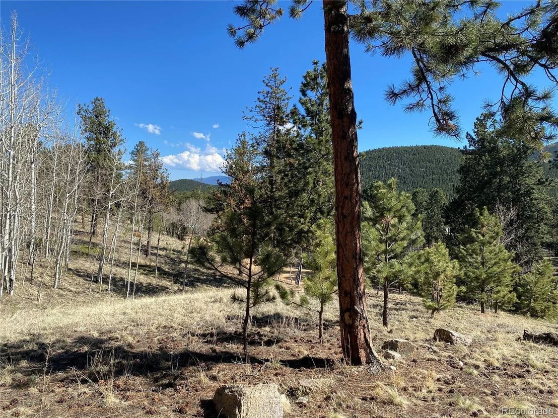 Photo of 856 Gunsmoke Dr