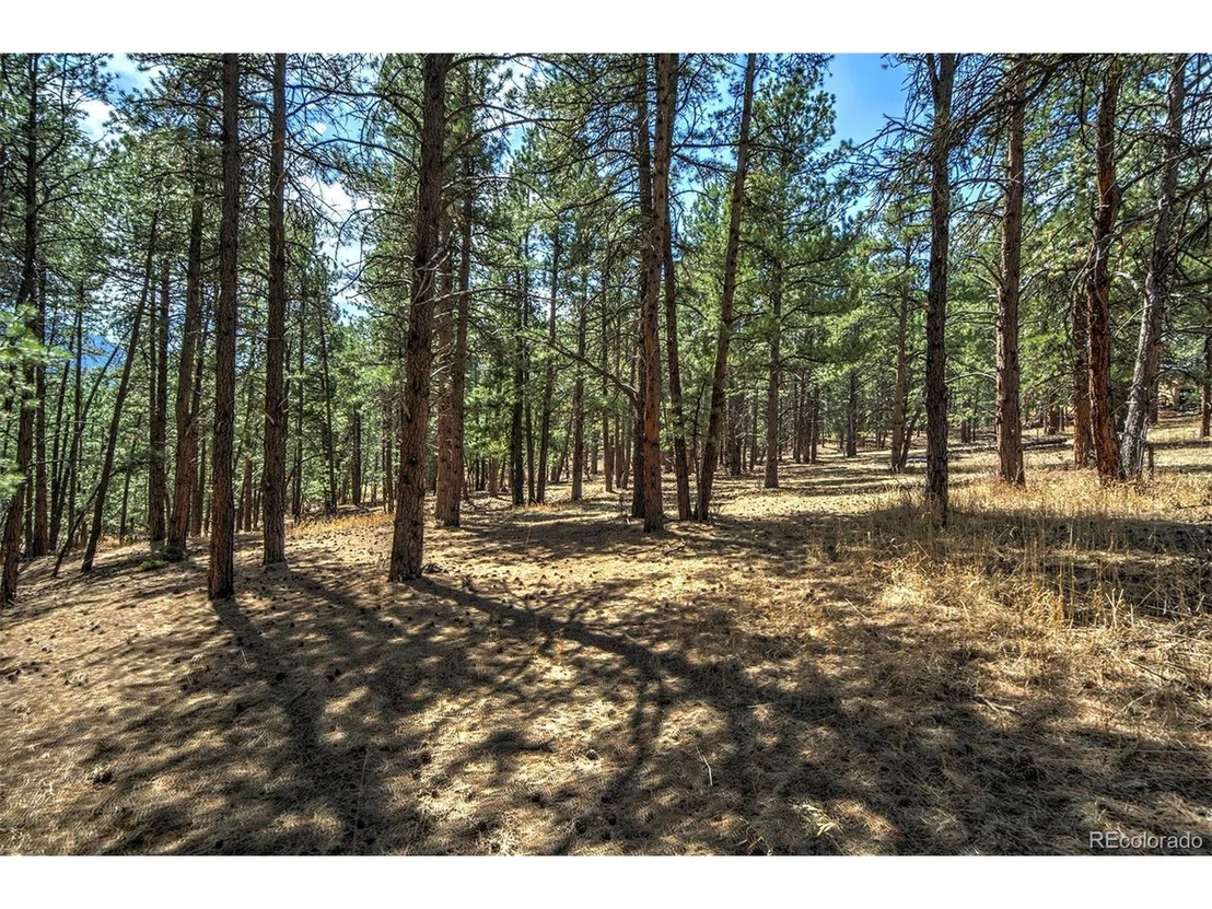 Photo of 27554 Pine Valley Dr