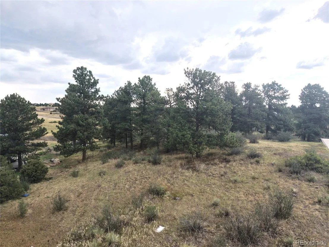 Photo of 46341 Needleleaf Ln