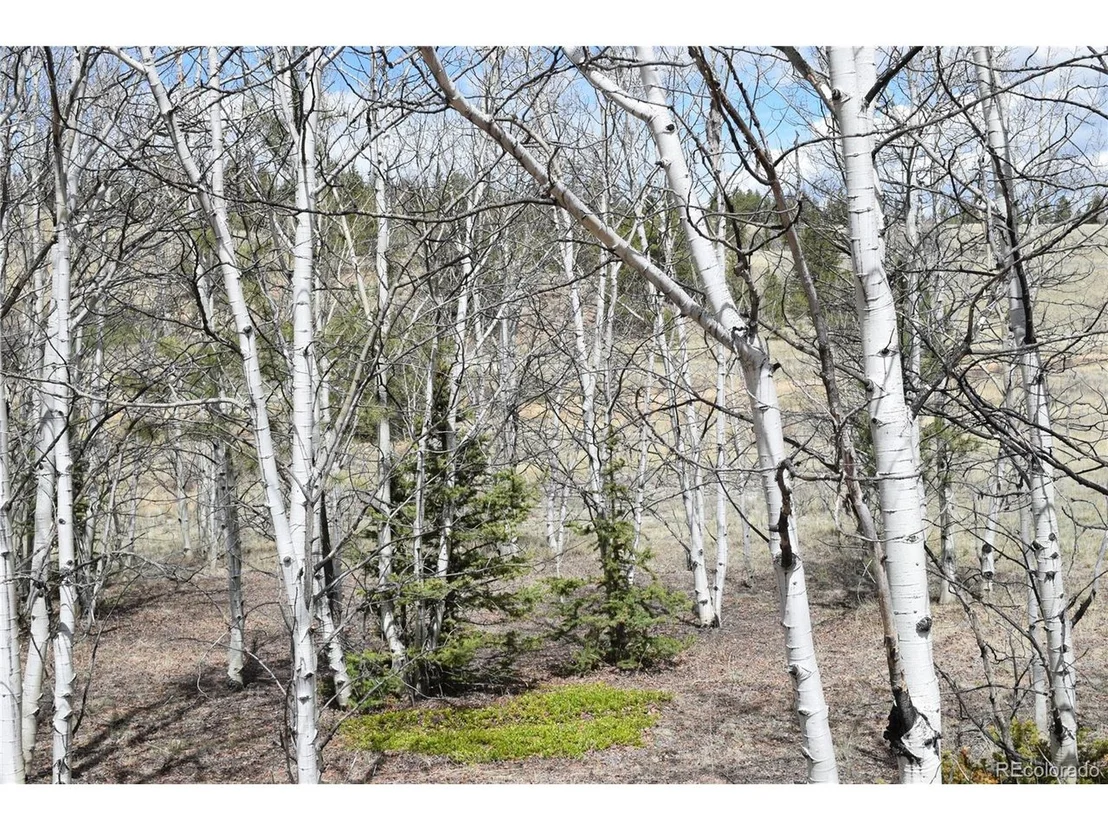 Photo of 550 Aspen Trl