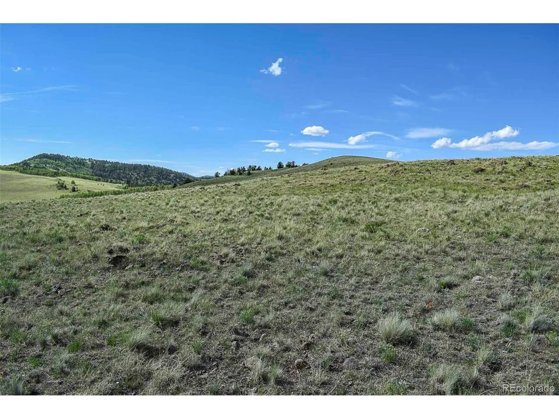 Photo of 0 Bear Cat Rd