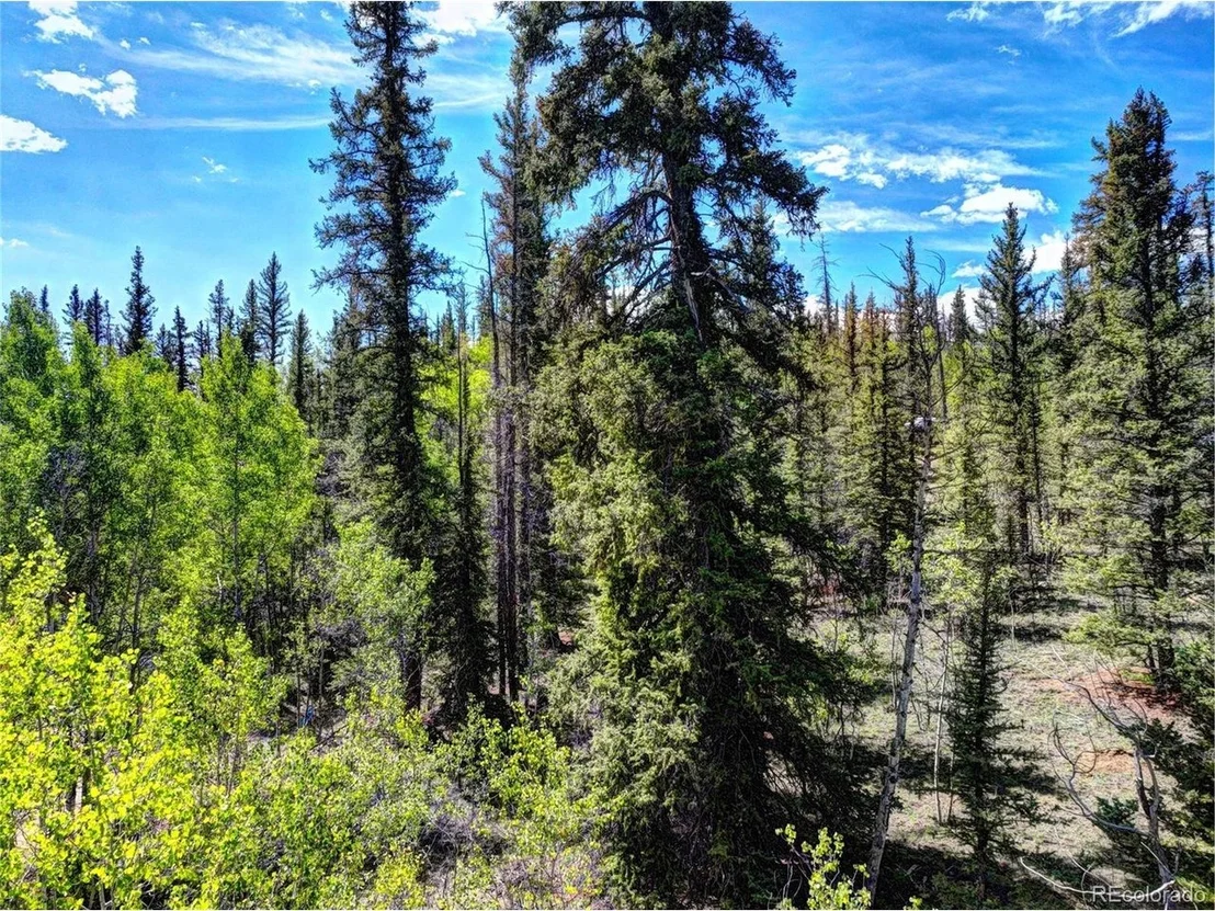 Photo of 75 Swiggler Rd