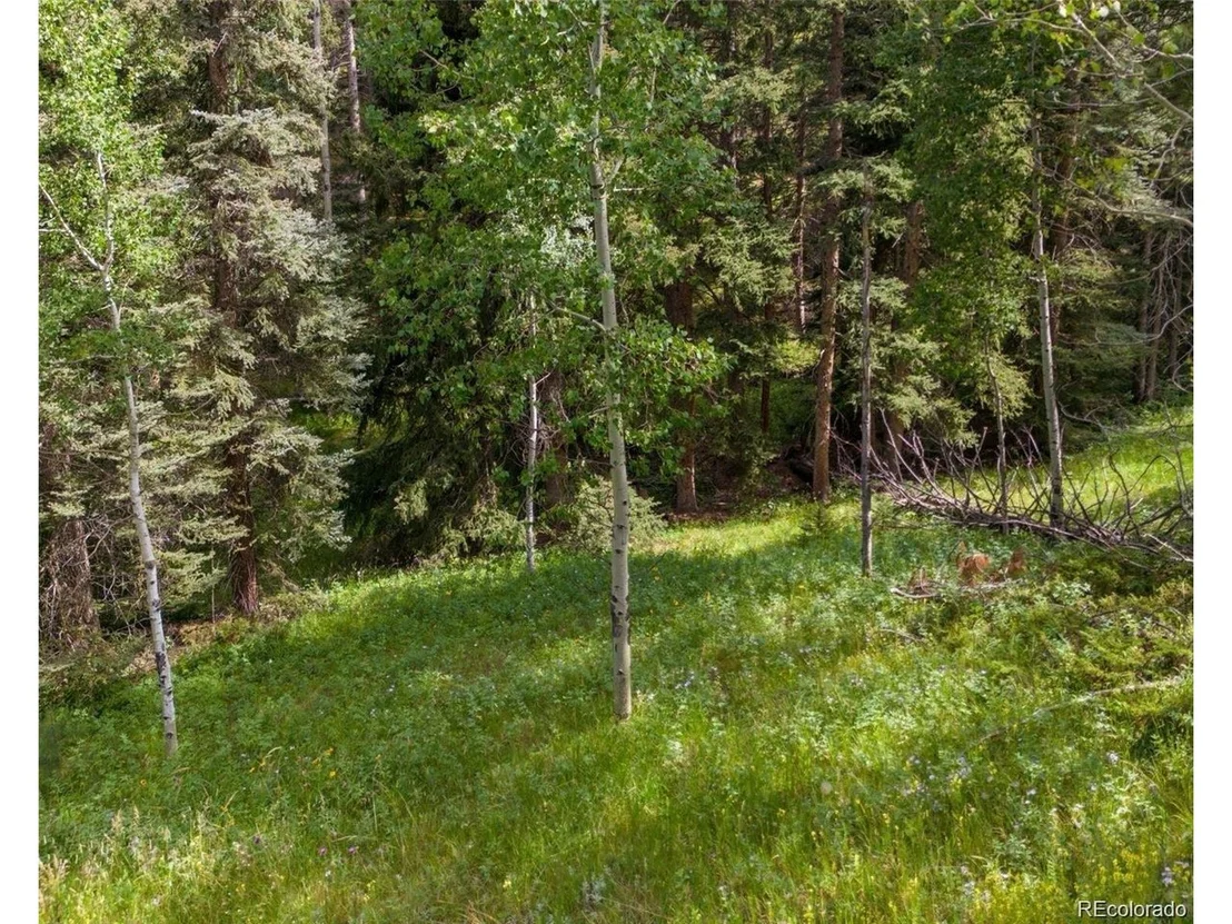 Photo of 28380 Pine Trl
